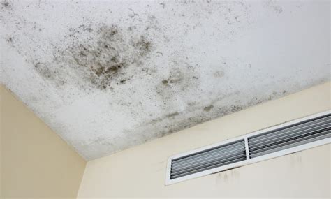 damp patch on ceiling, but no leak|Ceiling Damp Patches: Common Causes and。